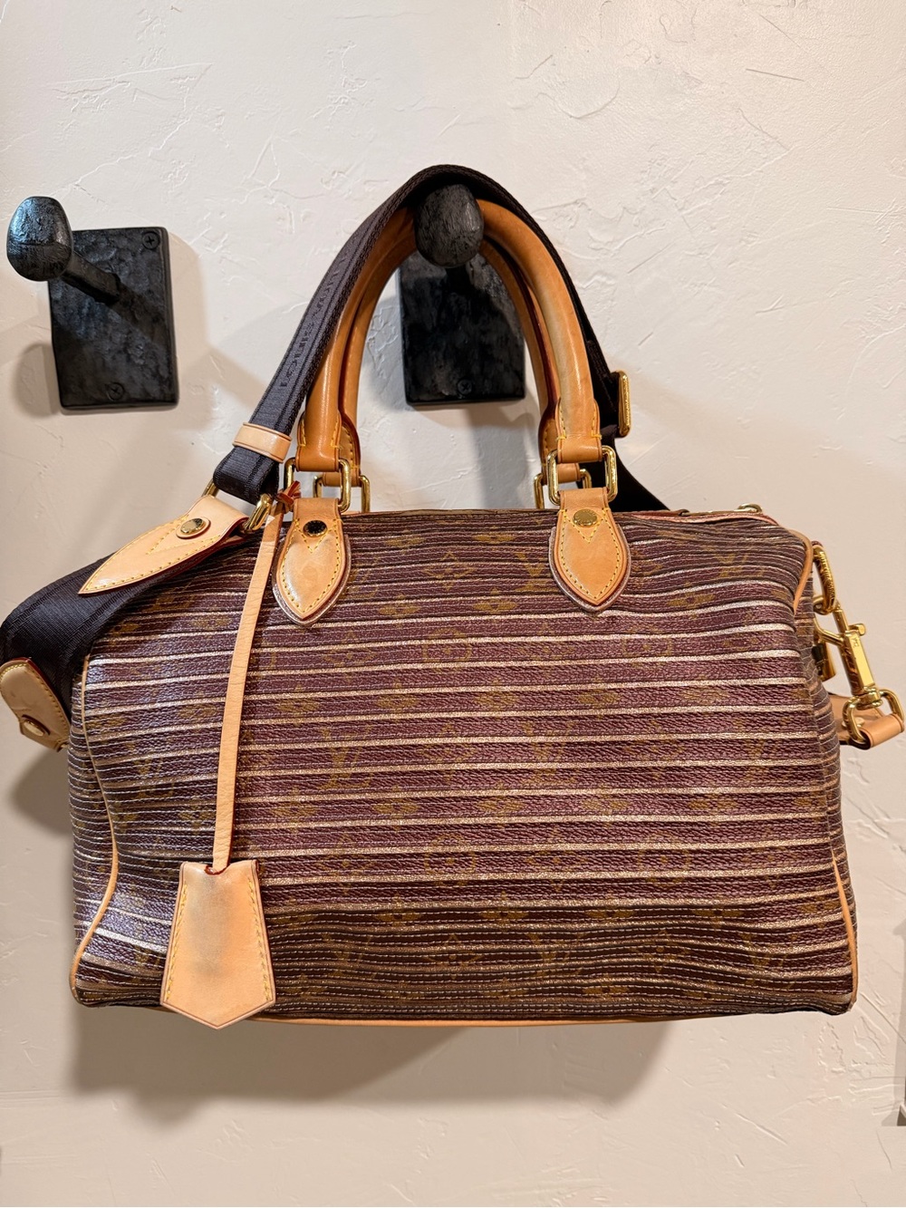 Louis Vuitton Speedy 30 Eden Lambskin Monogram Canvas ‘10 Limited Edition Runway